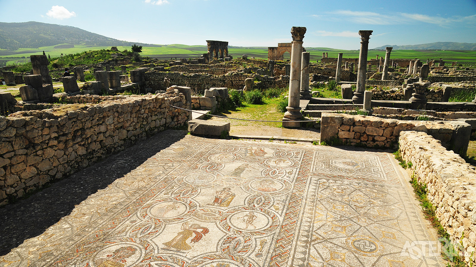 In Volubilis vind je een dertigtal mozaïeken van uitstekende kwaliteit die zich nog op hun originele locatie bevinden