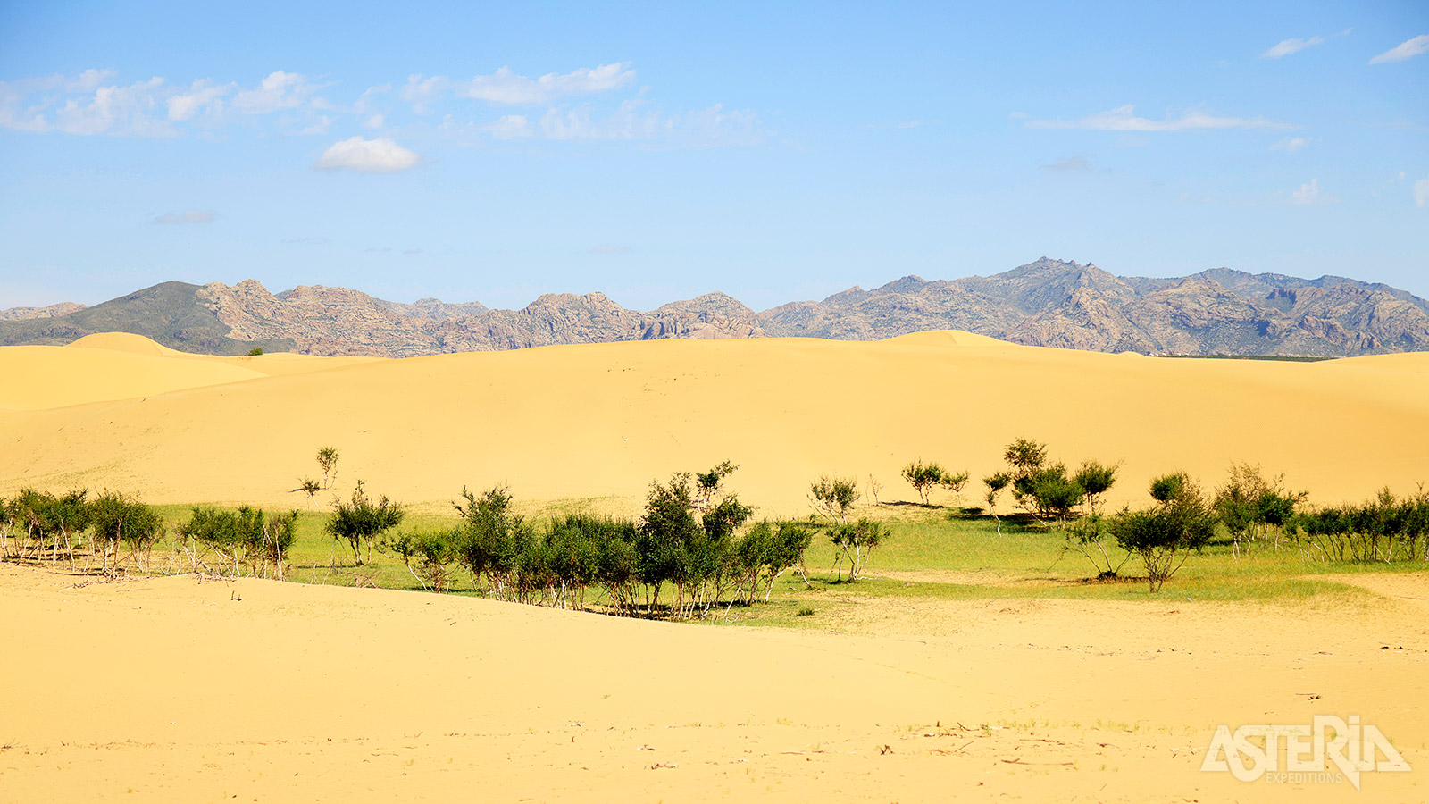 Elsen Tasarkhai, een bijzonder landschap waar zandduinen en graslanden samenkomen