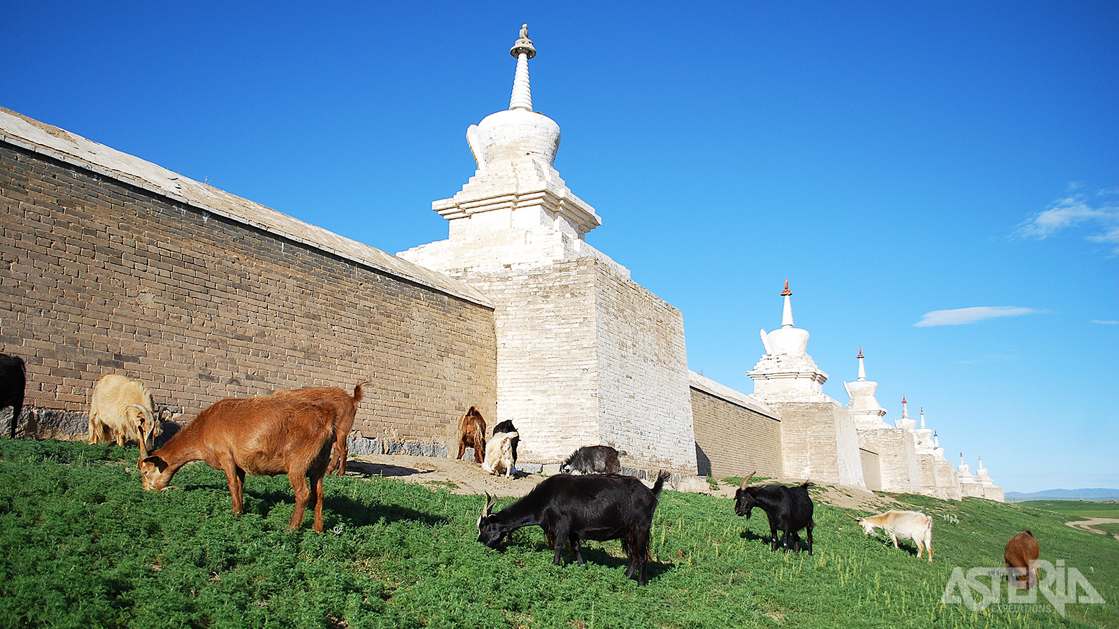 Erdene Zuu is omringd door een muur bedekt met 108 stoepa’s, een heilig cijfer in het boeddhisme