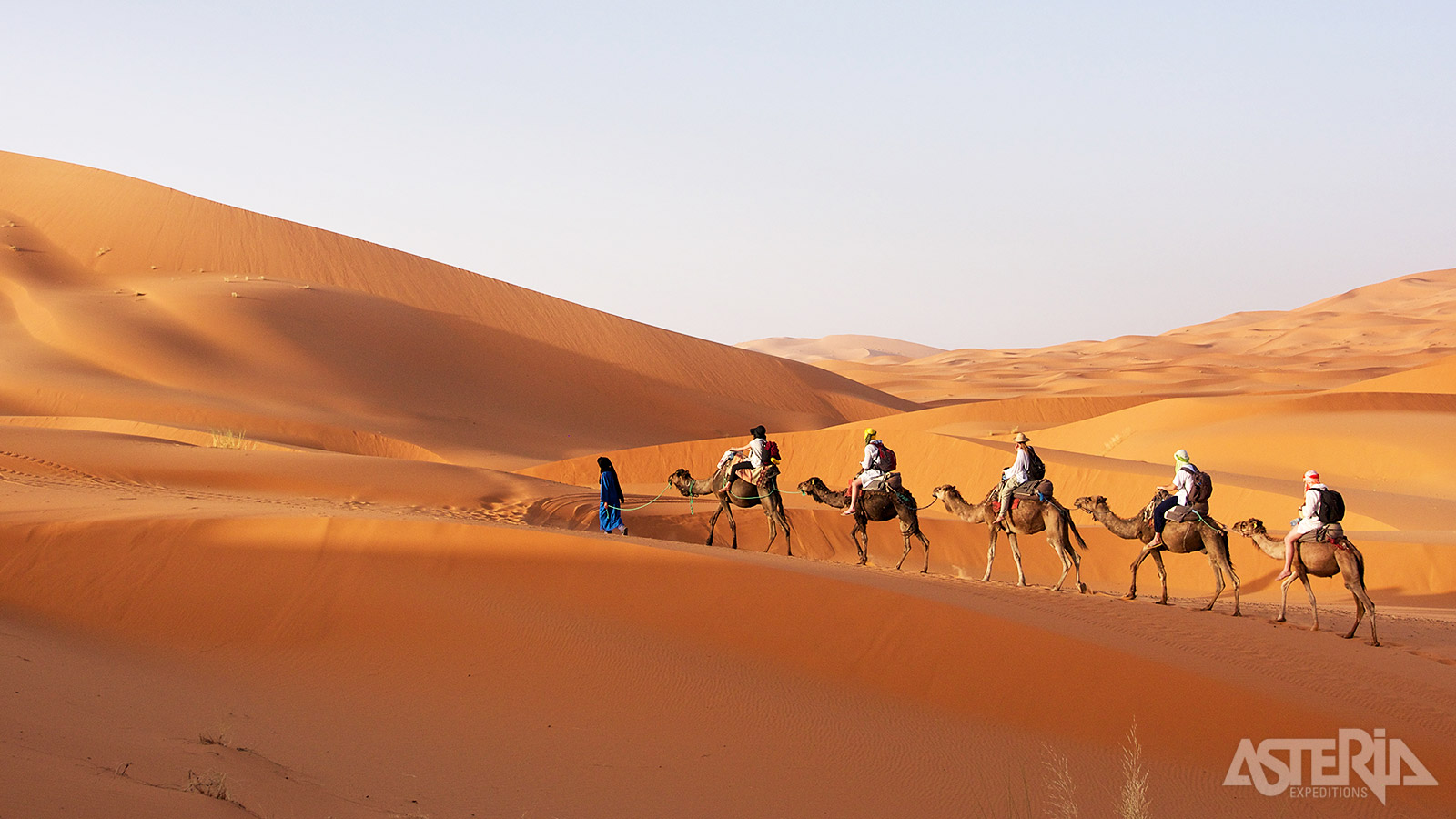 Maak een tocht op een kameel door het zand van de Gobi-woestijn