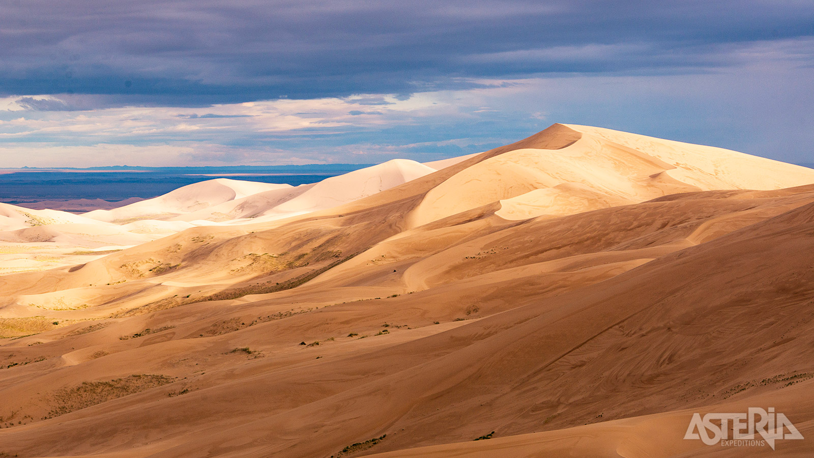 De Khongor-zandduinen zijn één van de grootste en meest indrukwekkende bezienswaardigheden in de Gobi