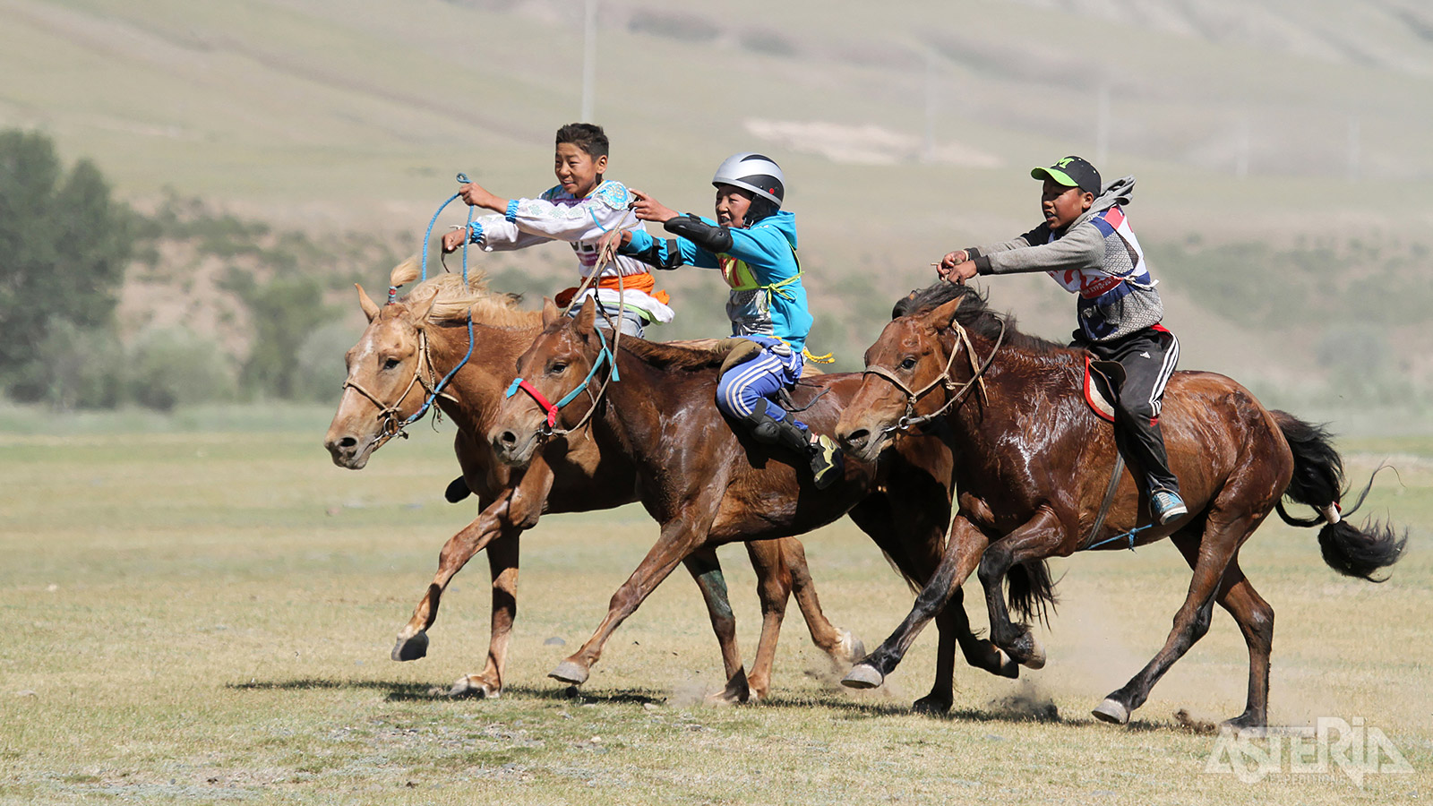 Tijdens het Naadam-festival in Mongolië spelen paardenraces een centrale rol