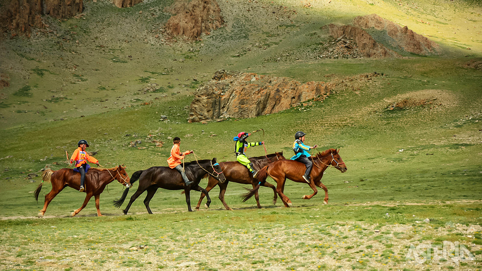 Tijdens het Naadam-festival in Mongolië spelen paardenraces een centrale rol