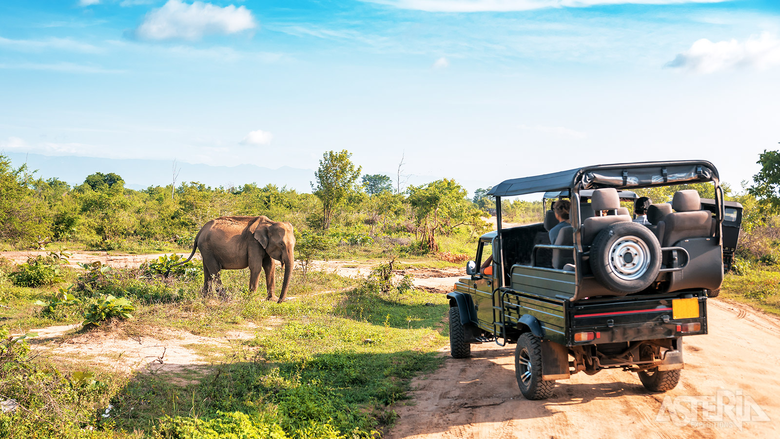 Het Timbavati Private Game Reserve is een privé-concessie dat deel uitmaakt van het grotere Krugerpark