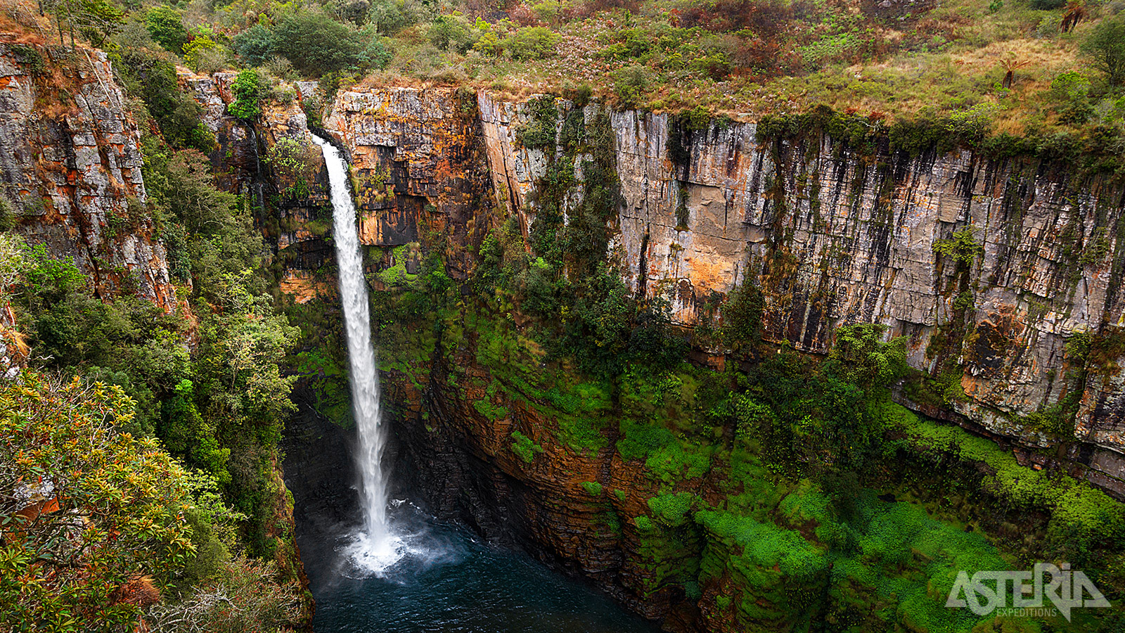 De 65m hoge Mac Mac watervallen zijn de op één na hoogste watervallen van Zuid-Afrika