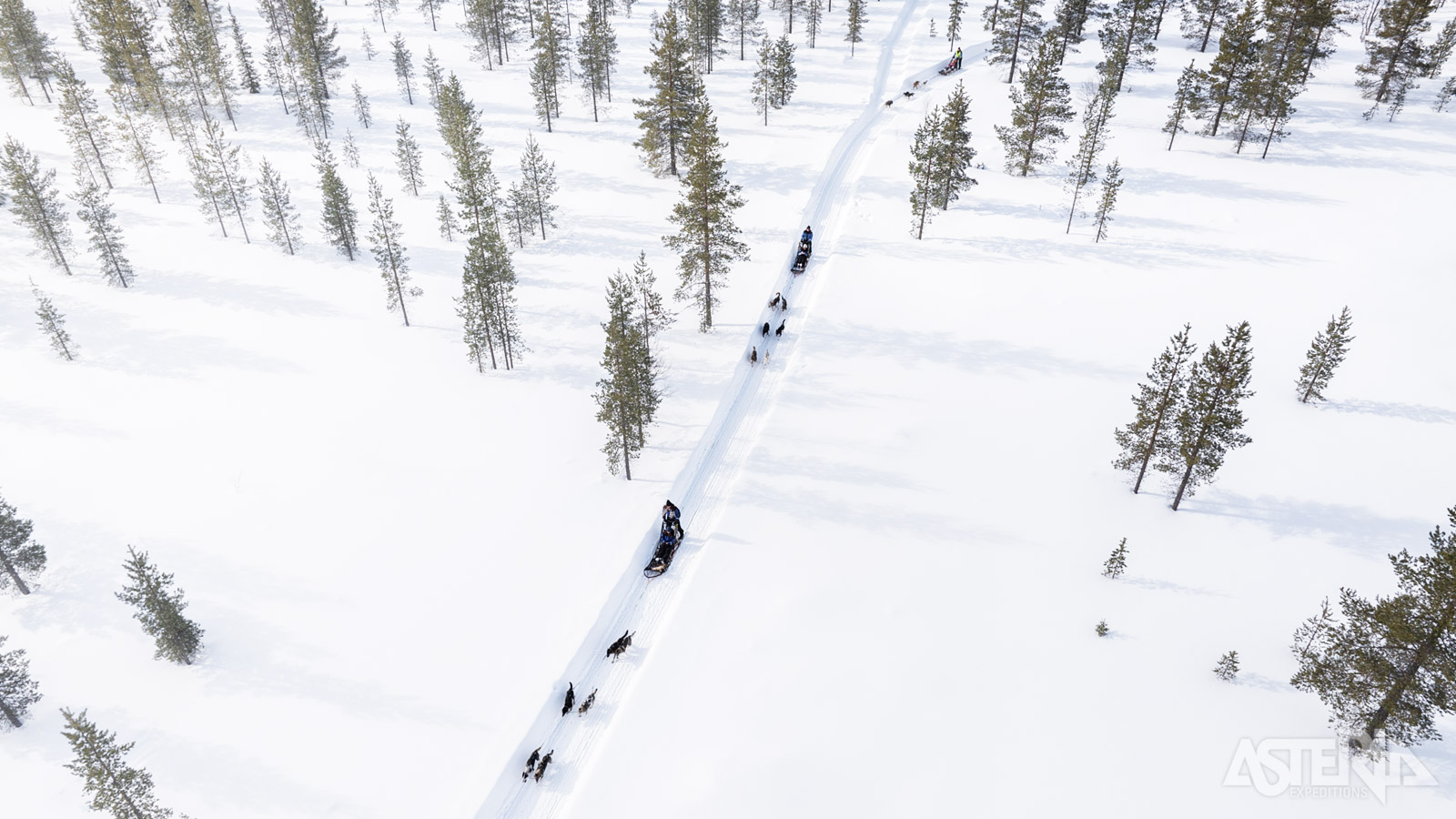 Voor velen een hoogtepunt van de reis: een tocht in de natuur met de husky’s