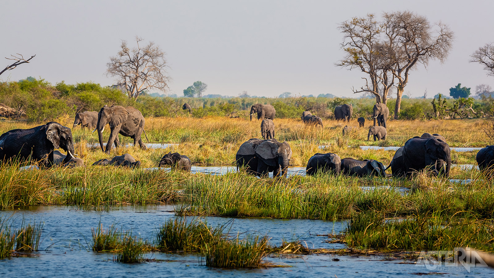 Het moerasland van Bwabwata National Park is een uniek gebied dat erg doet denken aan Botswana