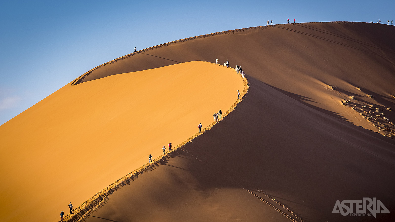 Dune 45 is de bekendste zandduin in Sesriem Canyon in de Namib Desert