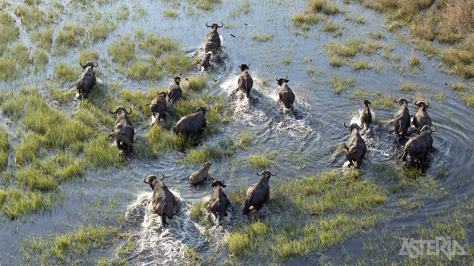 Vanaf de Kavango regio begint het groene gedeelte van de reis