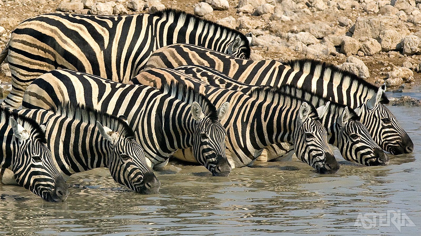 Het Ongava Private Game Reserve aan de rand van het zuidwestelijke deel van Etosha National Park