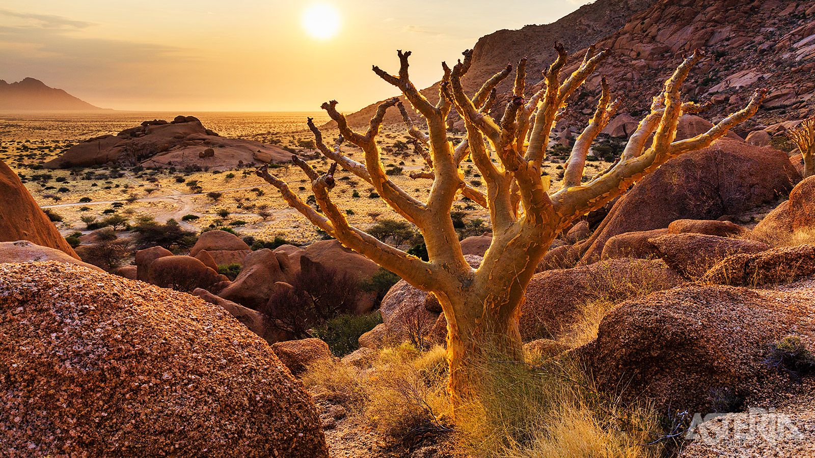 Damaraland, een fotogeniek woestijnlandschap met indrukwekkende rotsformaties en spitse bergen