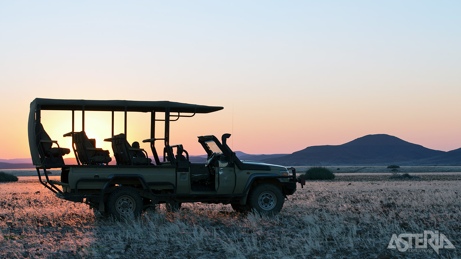 Tijdens dag- en nachtsafari’s kan je in het Etosha National Park de dieren observeren