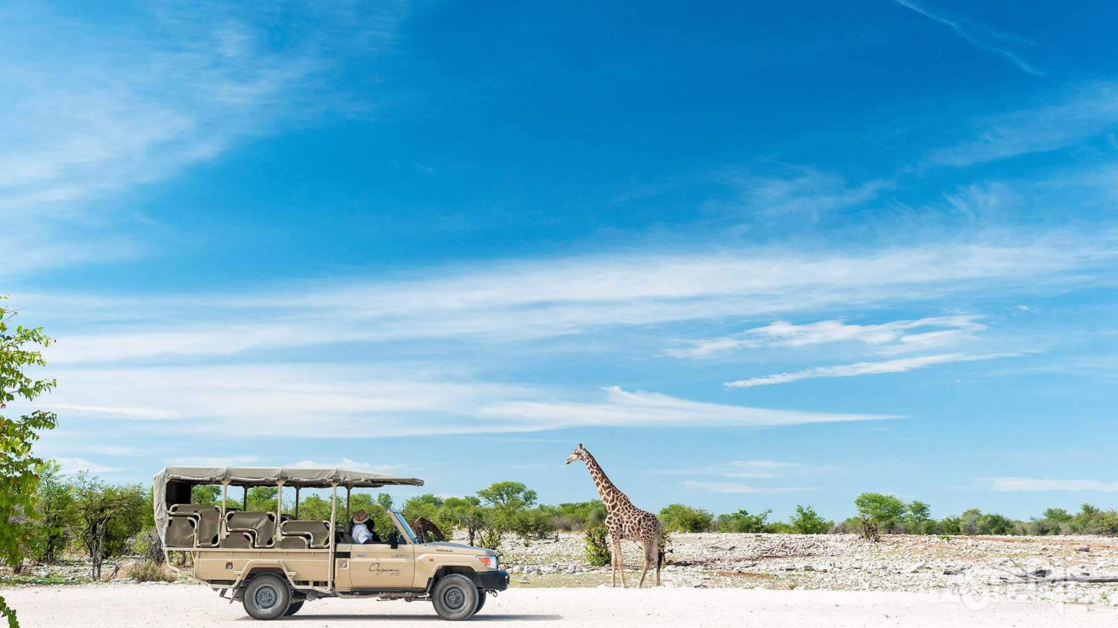 Ruim 30 diersoorten vinden hun thuis in het Onguma Game Reserve, zoals de giraf, zebra, kudu, luipaard en leeuw