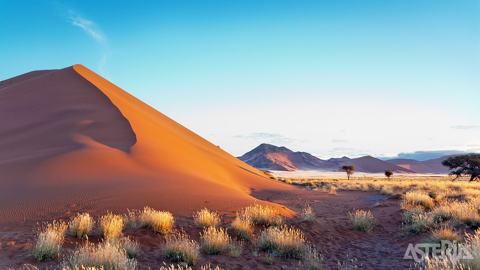 Sossusvlei: dorre boompjes op een witte kleiplan omgeven door reusachtige zandduinen