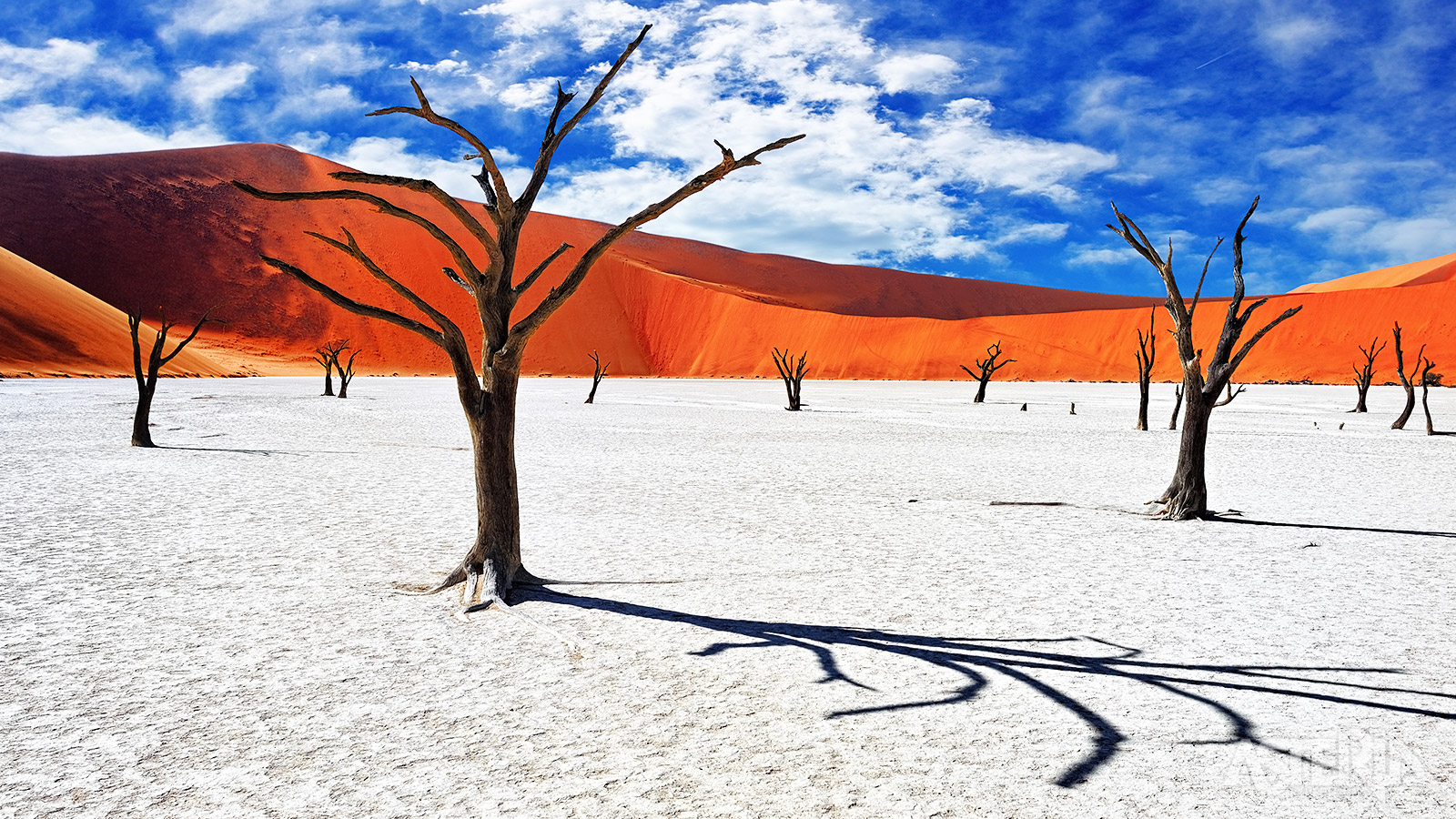 Deadvlei is een populaire bestemming voor fotografen vanwege het contrast tussen de witte klei, de zwarte bomen, de rode duinen en de felblauwe lucht
