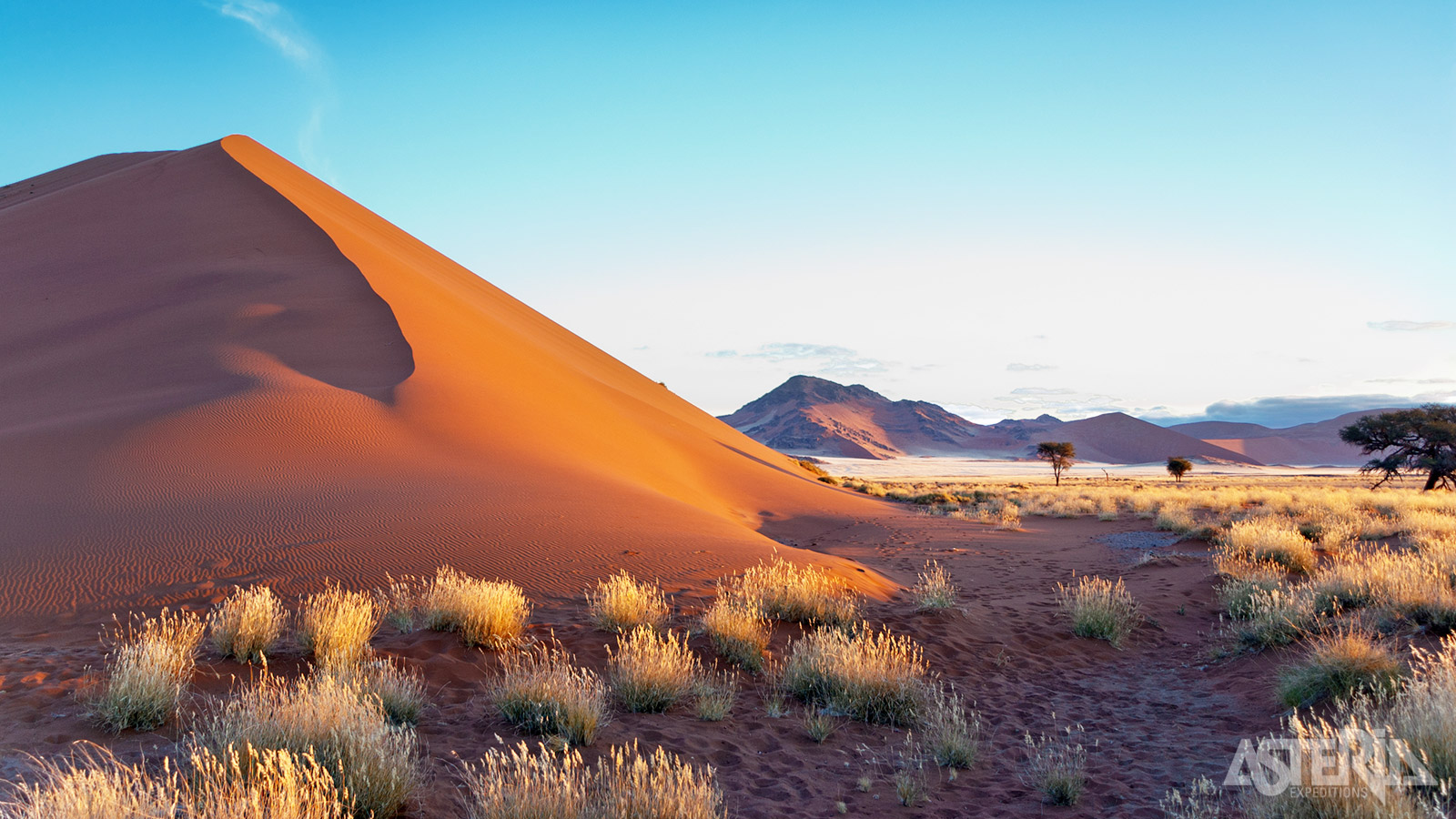 Hoewel het een woestijn is, herbergt de Kalahari een verscheidenheid aan flora en fauna, waaronder de iconische gemsbok en diverse woestijnplanten