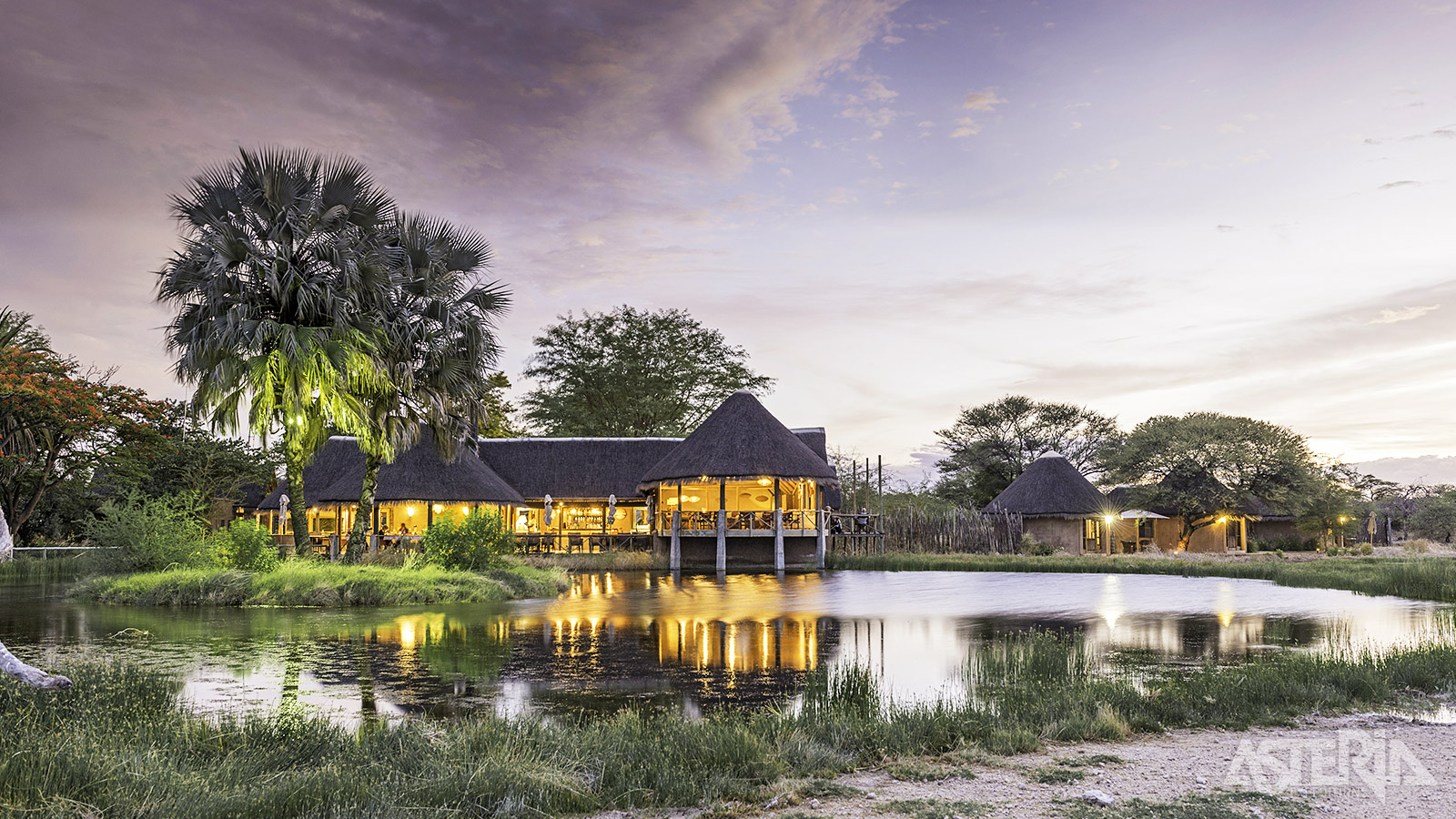 Onguma Bush Camp is het ideale uitgangspunt om het Etosha National Park te bezoeken