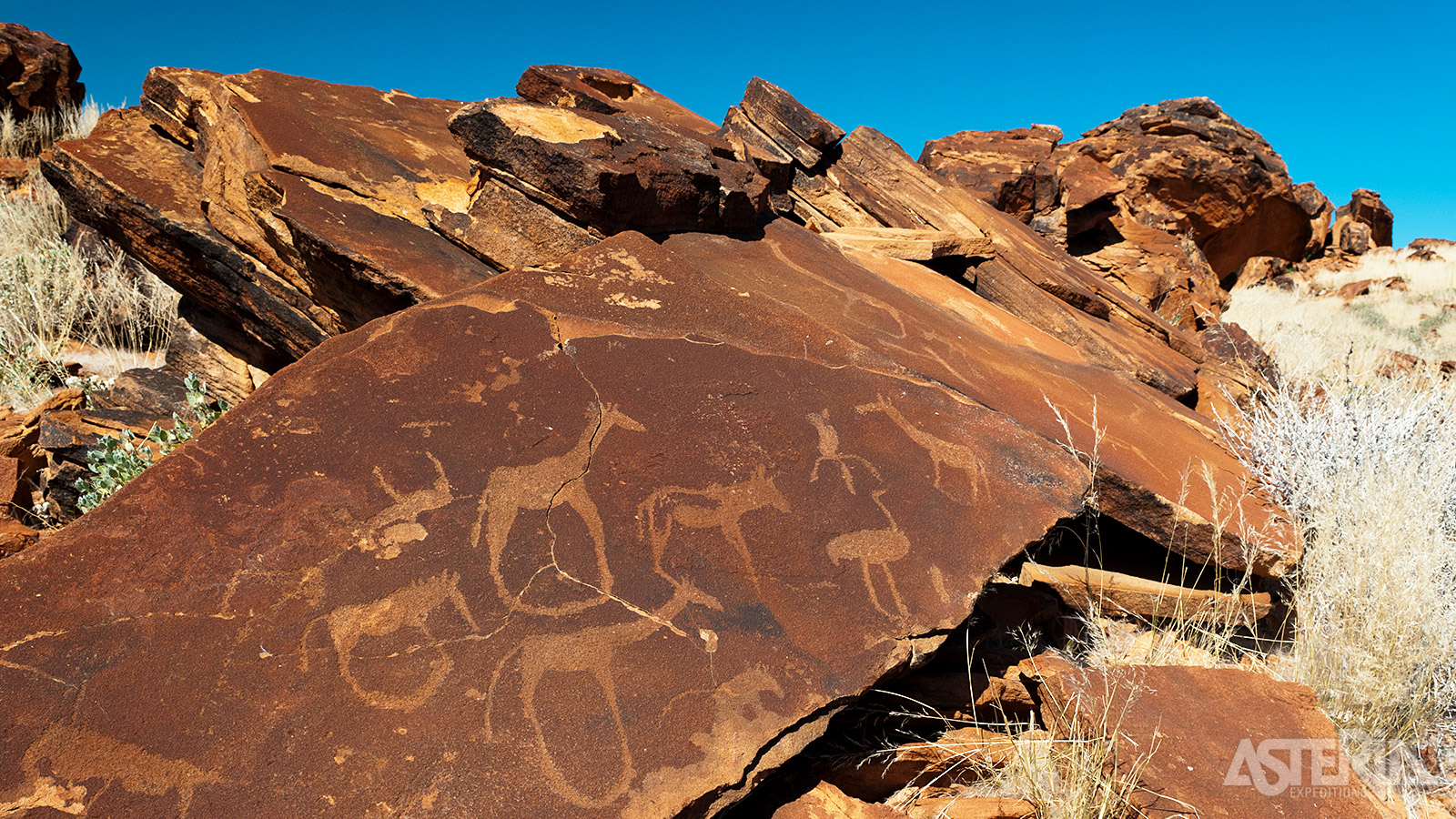De rotstekeningen in Twyfelfontein dateren van 2.000 tot 6.000 jaar geleden en werden gemaakt door de San, een inheemse groep jagers en verzamelaars
