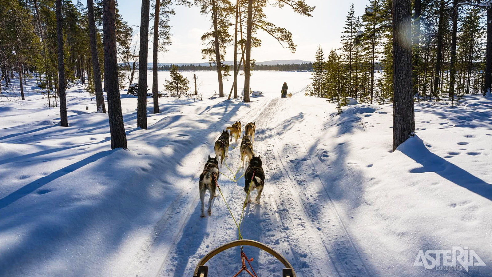 Overdag trek je eropuit voor een mix van avontuur en natuur