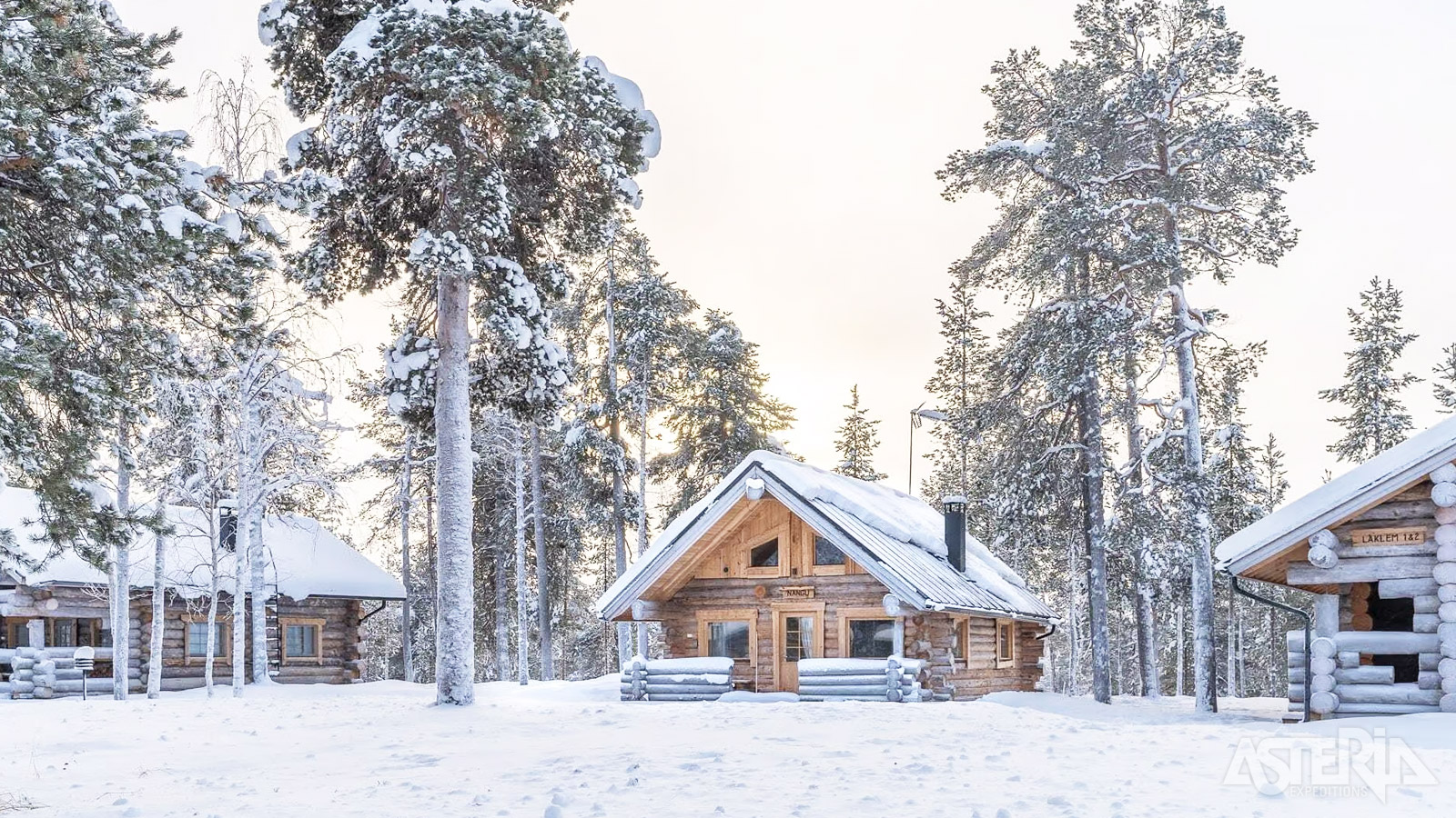 Log Cabins geven je het gevoel dat je ’in de wildernis’ zit, maar zonder comfort op te geven