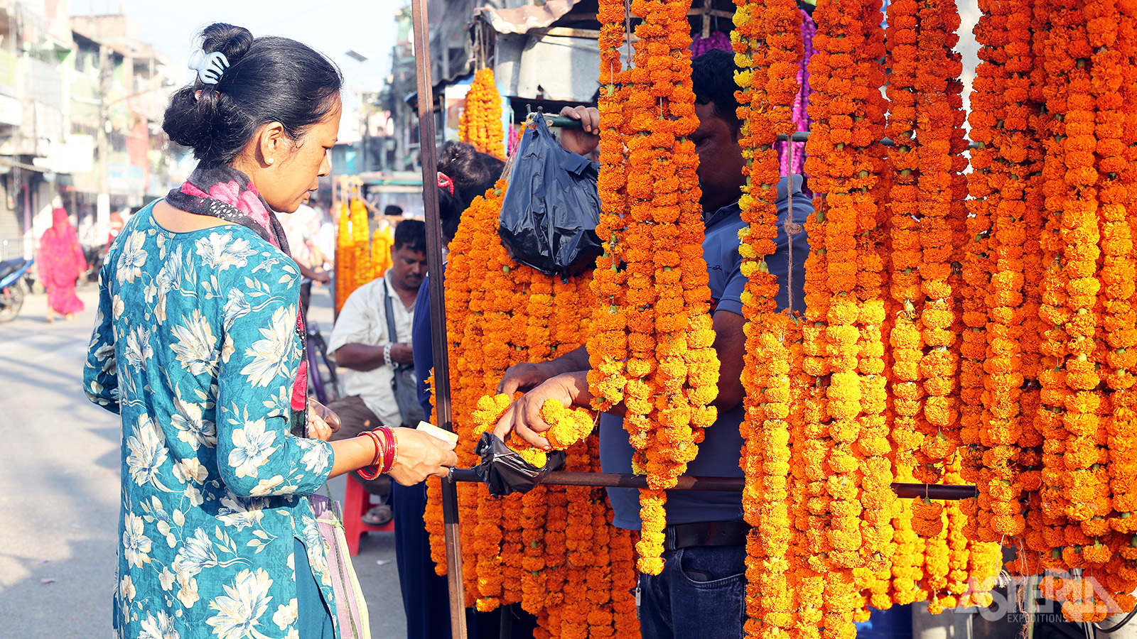 Tijdens het Tihar-festival speelt de goudsbloem (Marigold) een centrale rol
