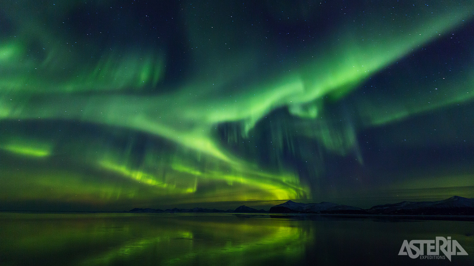 Het noorderlicht in Scoresby Sund danst betoverend over de sterrenhemel, waardoor de ijskoude fjorden een magische gloed krijgen