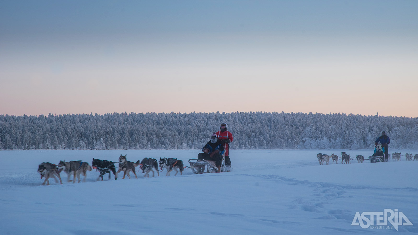 Maak een huskysafari over besneeuwde bospaden en maagdelijk witte vlaktes