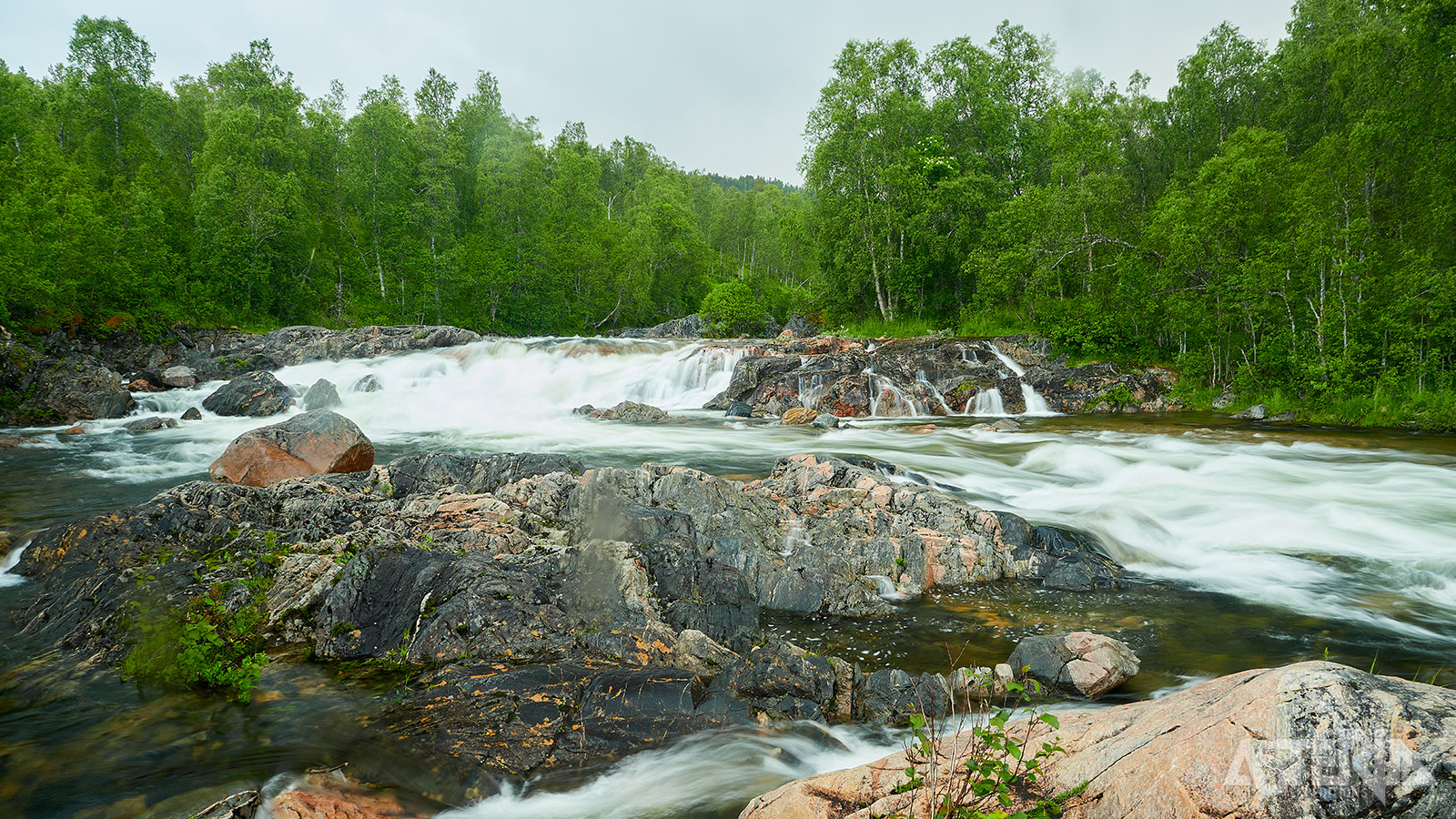 Het Ånderdalen Nationaal Park  biedt een variëteit aan natuurlijke omgevingen, van dichte bossen en meren tot indrukwekkende bergtoppen en weidse vlaktes