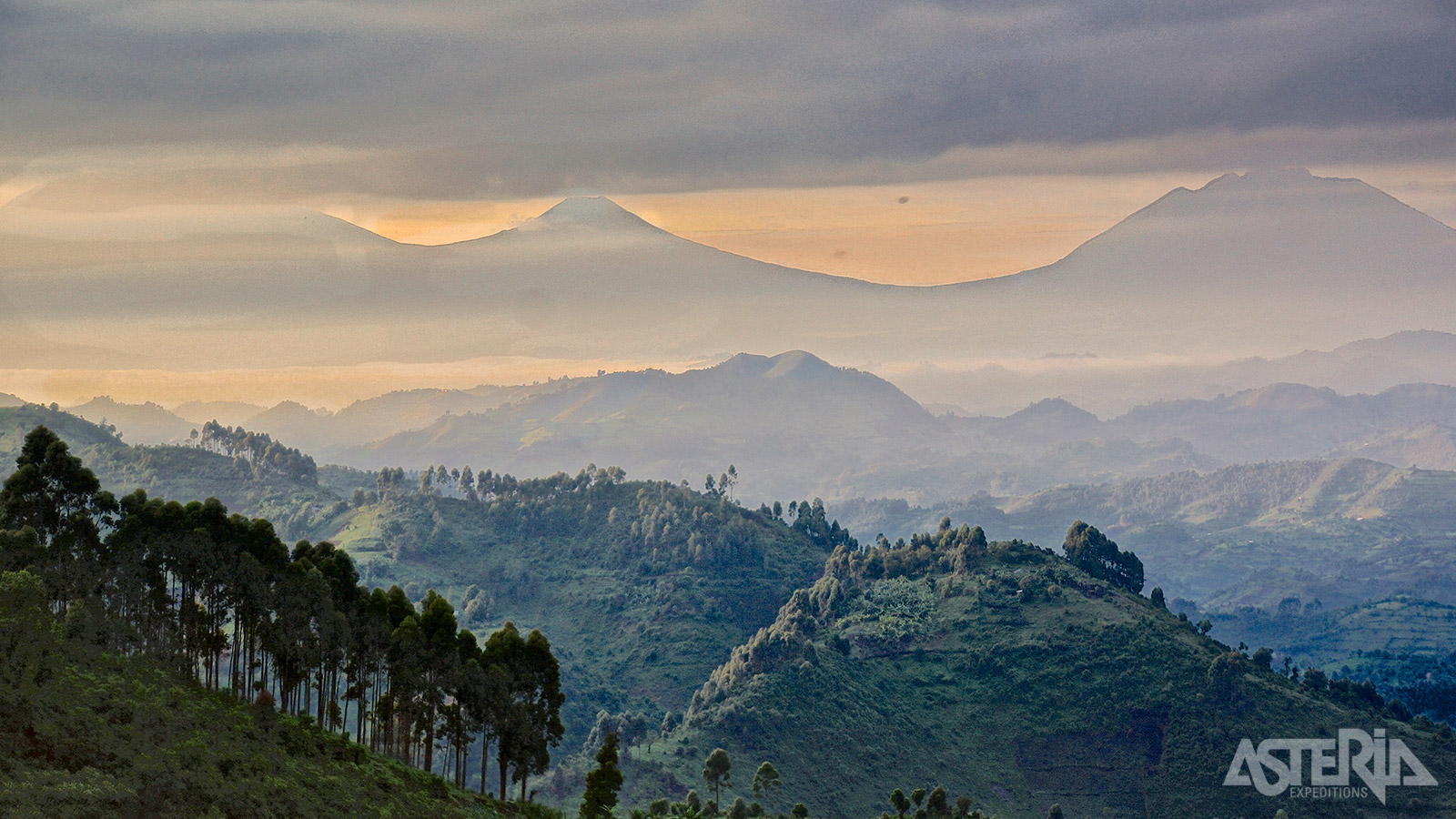 Als de lodge niet door wolken omgeven is, heb je dankzij de hoge ligging een indrukwekkend uitzicht over de heuvels van het Bwindi Impenetrable Forest