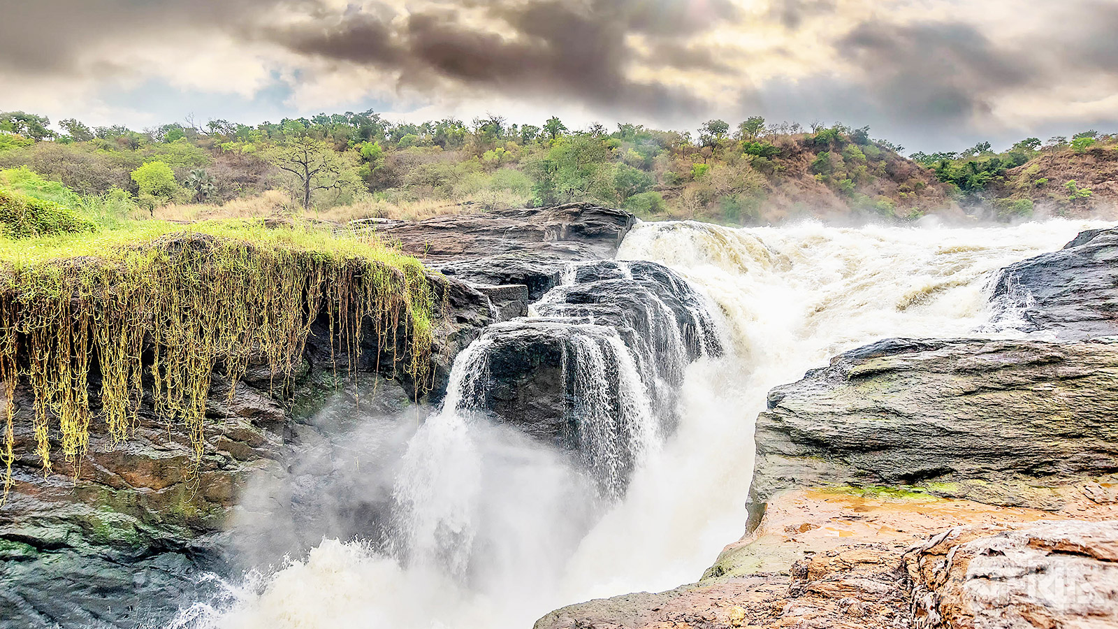 De Witte Nijl stroomt door het Murchison Falls Nationaal Park en heeft verschillende watervallen en stroomversnellingen