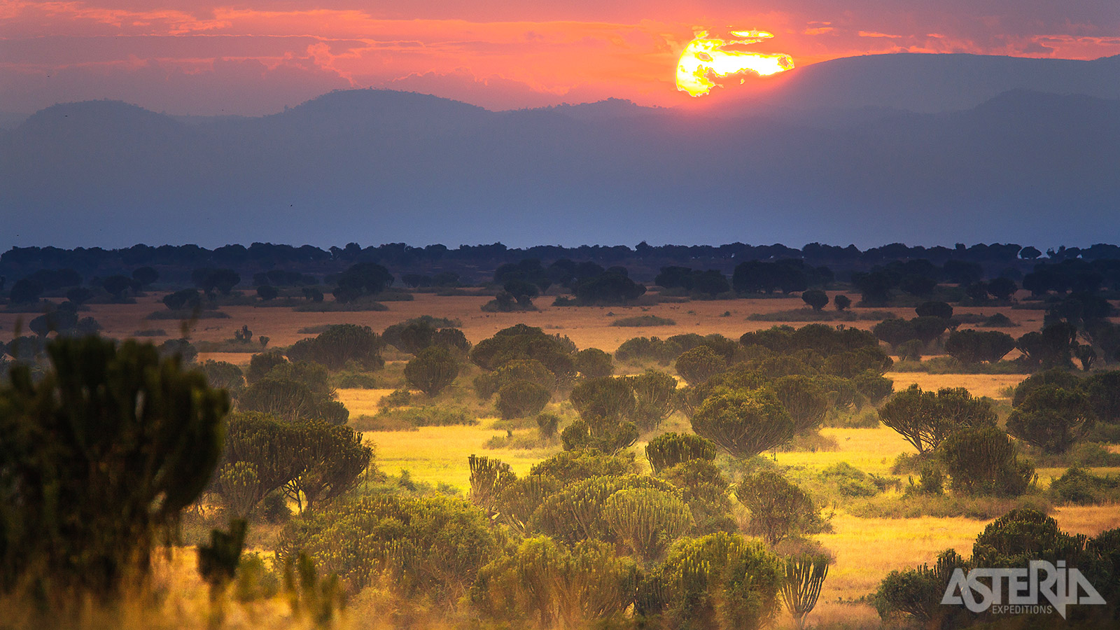Een populair safarigebied  is het wereldberoemde Queen Elizabeth Nationaal Park, in het westen van Oeganda