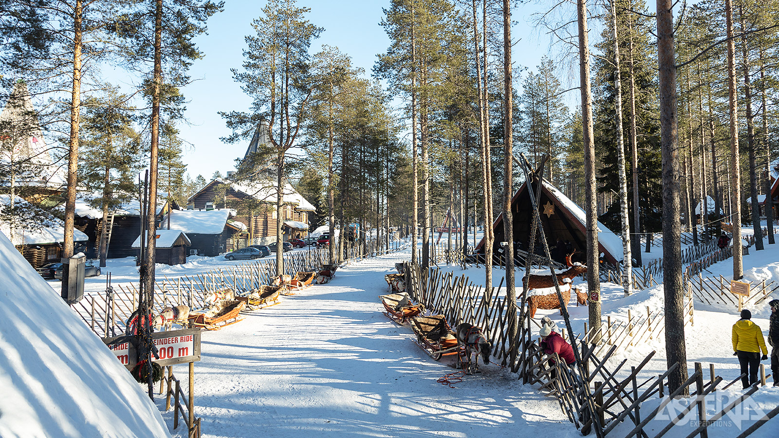 Tijdens een bezoek aan een rendierboerderij maak je kennis met de Sámi-cultuur