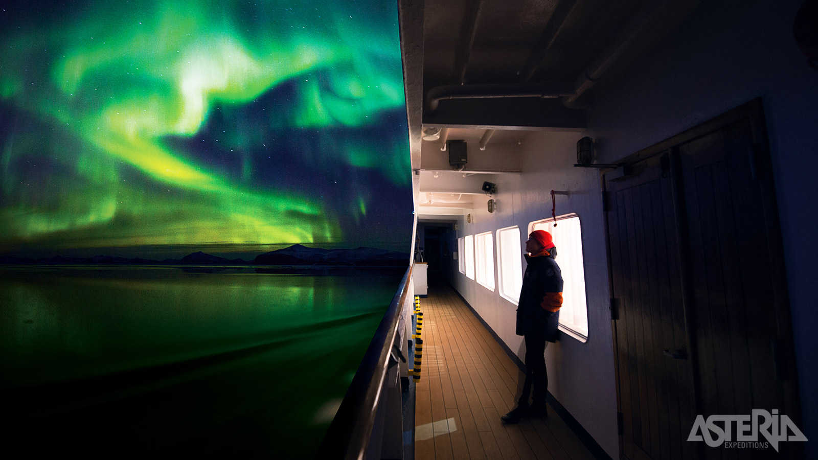 Het noorderlicht betovert met zijn spectaculair dansende groene en paarse lichten die de donkere arctische hemel verlichten