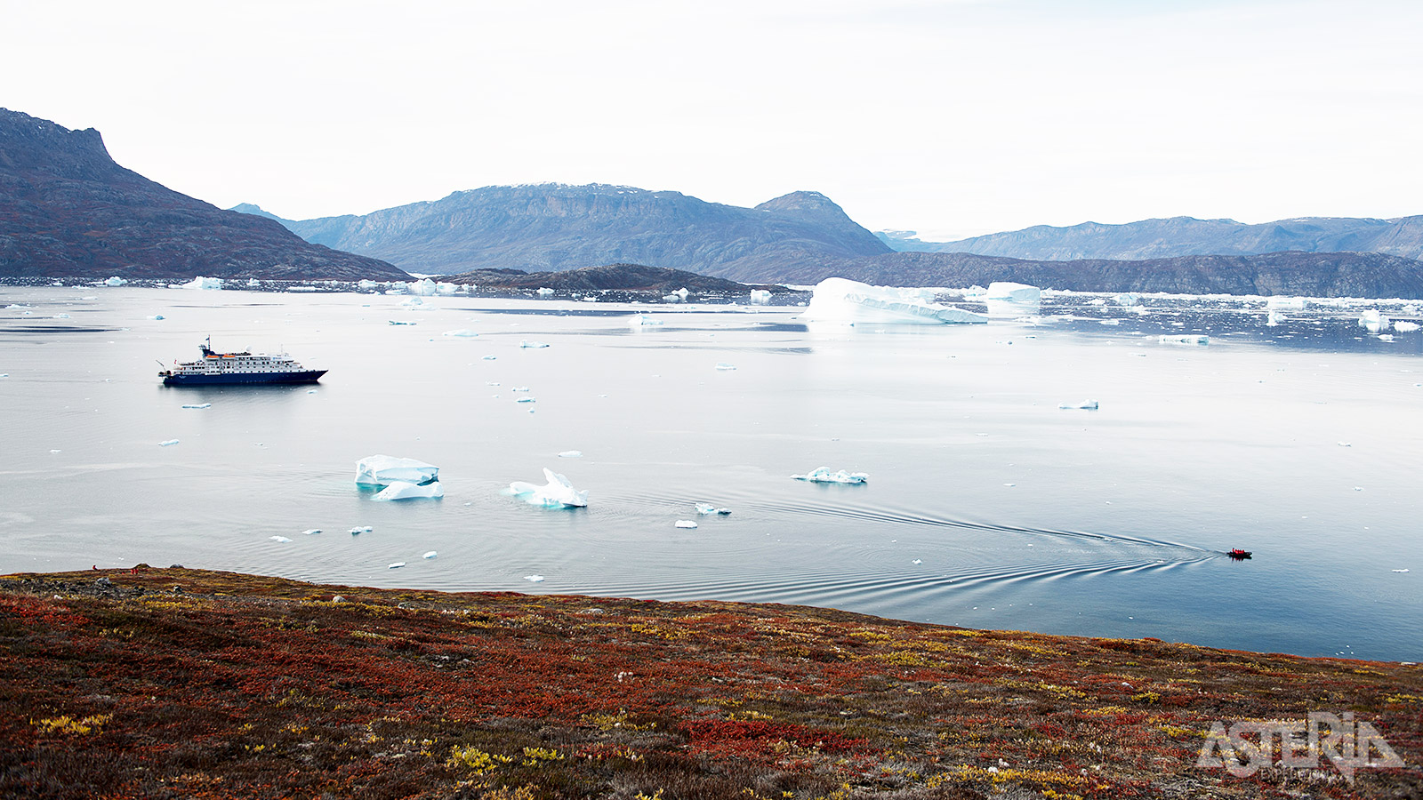 In Scoresby Sund vormen de uitgestrekte toendra en de majestueuze ijsbergen een adembenemend contrast