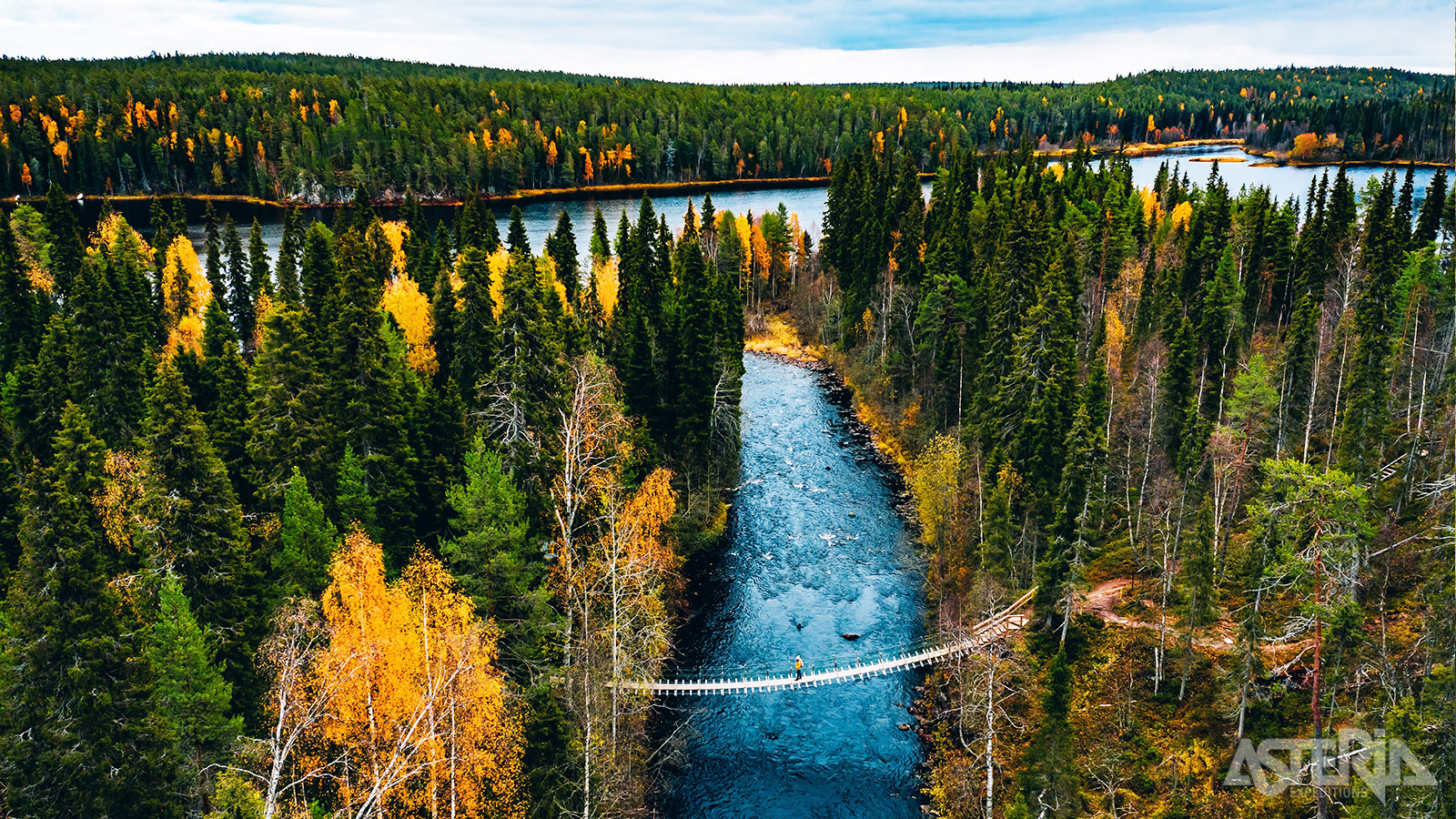In het prachtige Oulanka National Park vind je maar liefst 9 hangbruggen