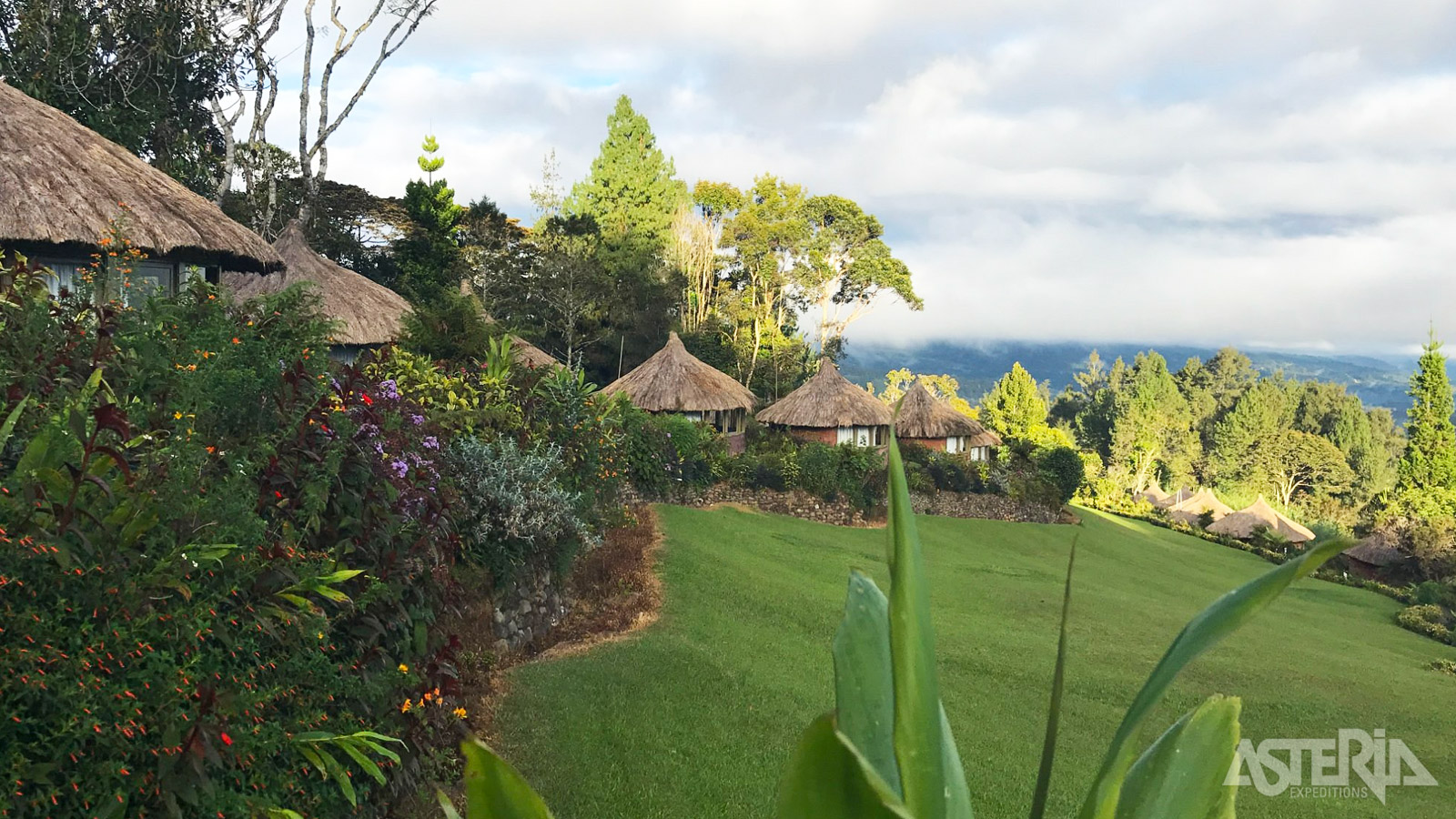 De Ambua Lodge: een ecologisch verantwoorde accommodatie met traditionele architectuur en prachtige vergezichten