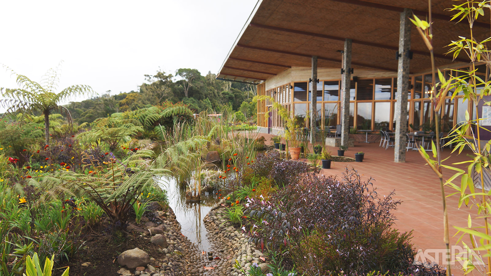 Gelegen op een hoogte van 2.164m biedt de Rondon Ridge Lodge een prachtig uitzicht op het Hagen-gebergte, de Sepik en Mount Hagen