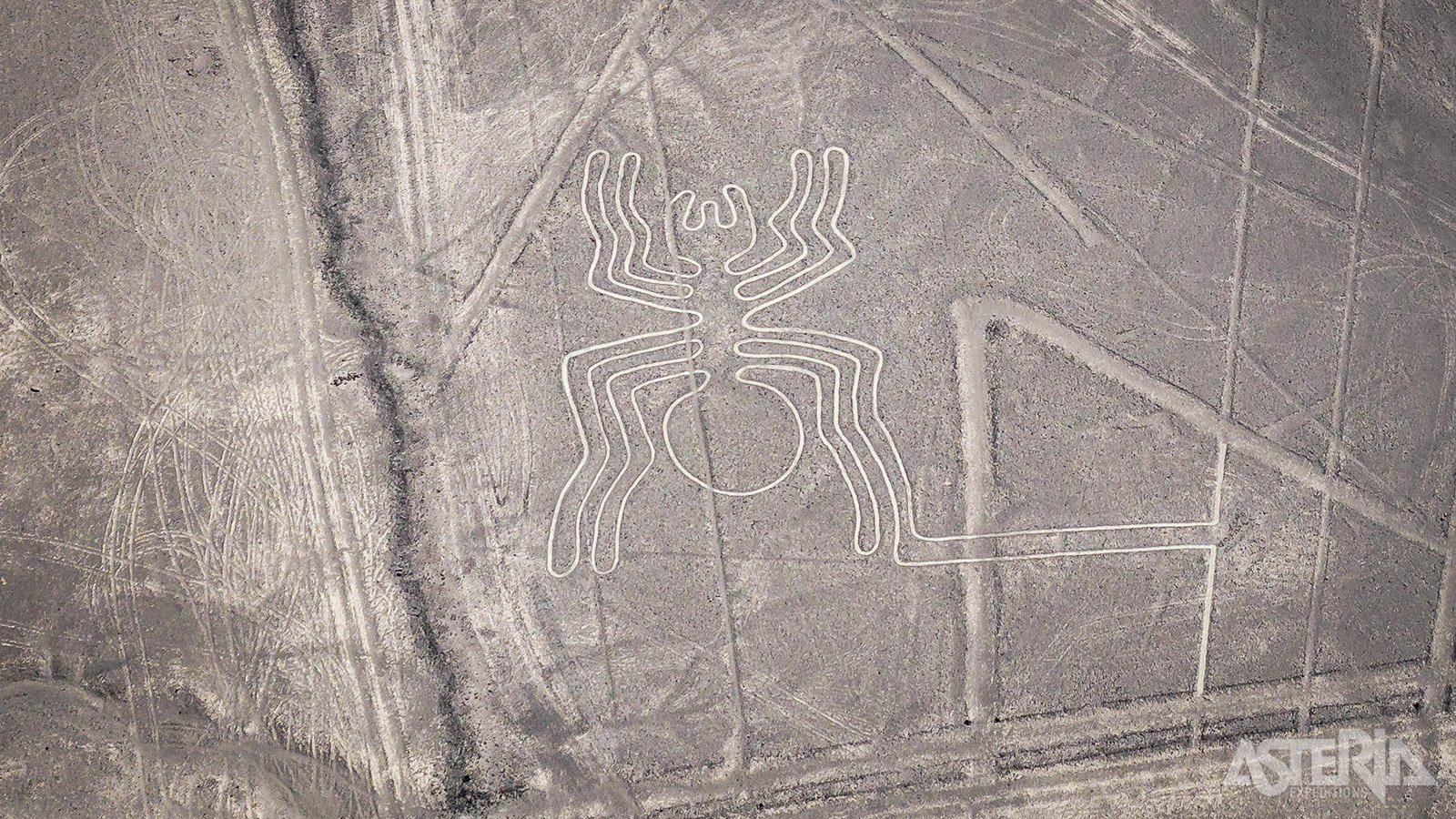 Tijdens een vlucht boven Nazca kan je de reusachtige tekeningen goed observeren