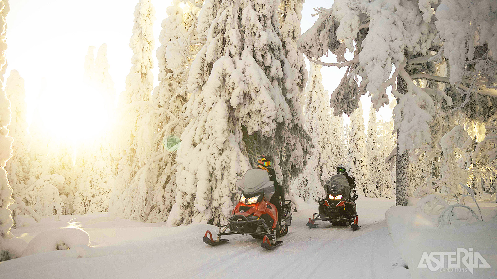 Trek het winterlandschap in op de sneeuwscooter