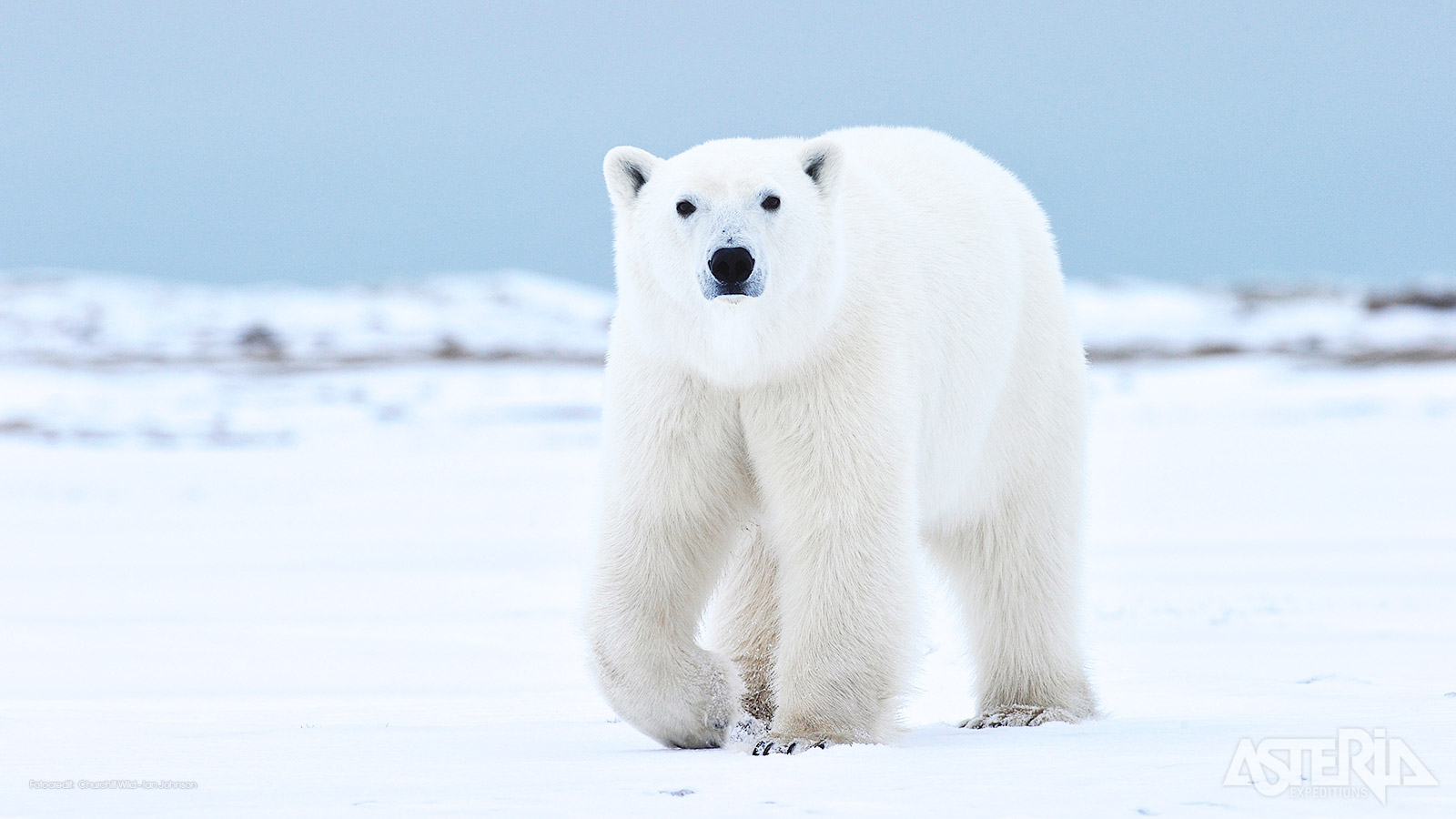 Natuurfotografen komen hier ruimschoots aan hun trekken
