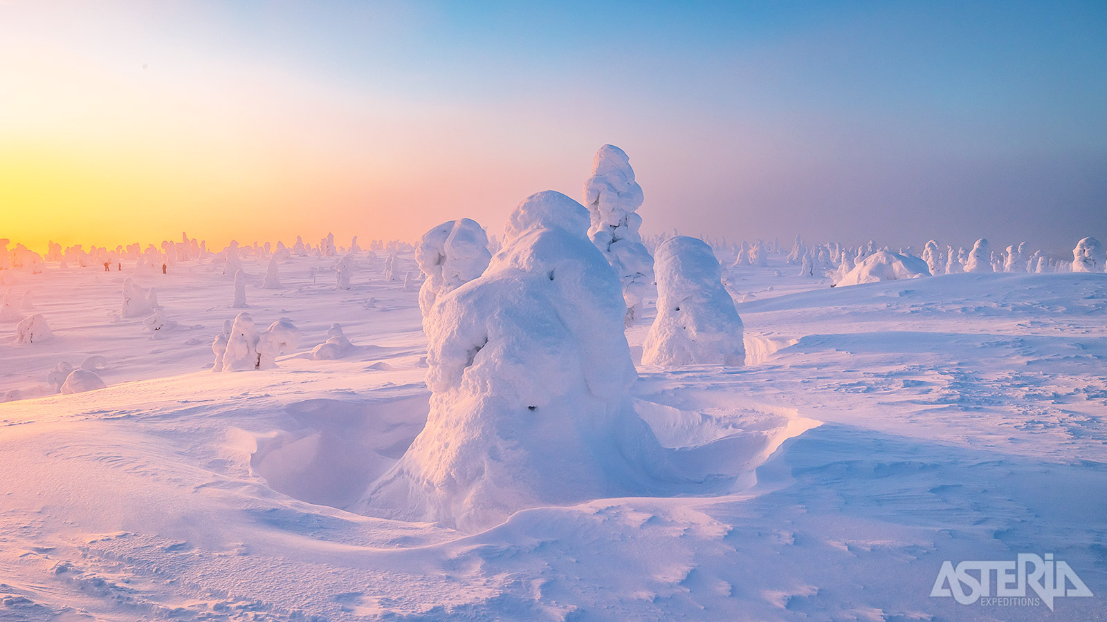 In de winter wordt het Riisitunturi Nationaal Park omgetoverd tot een betoverend winterwonderland.
