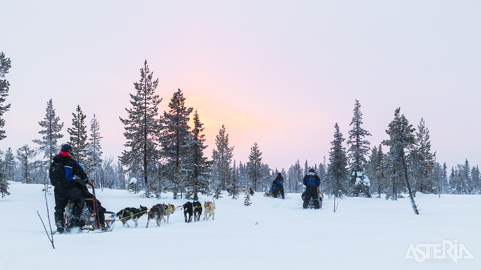 Na de nodige uitleg vertrek je voor een mooie huskytocht in het Riisitunturi Nationaal Park