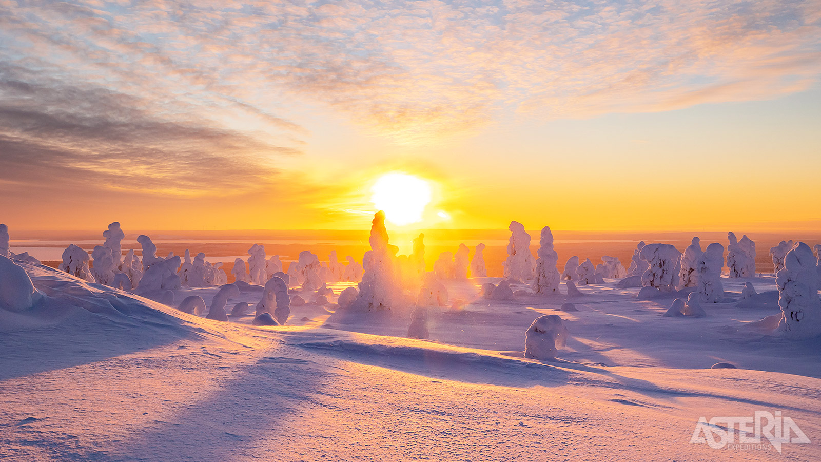 In de wintermaanden verandert het Riisintunturi Nationaal Park in een surrealistisch winterwonderland