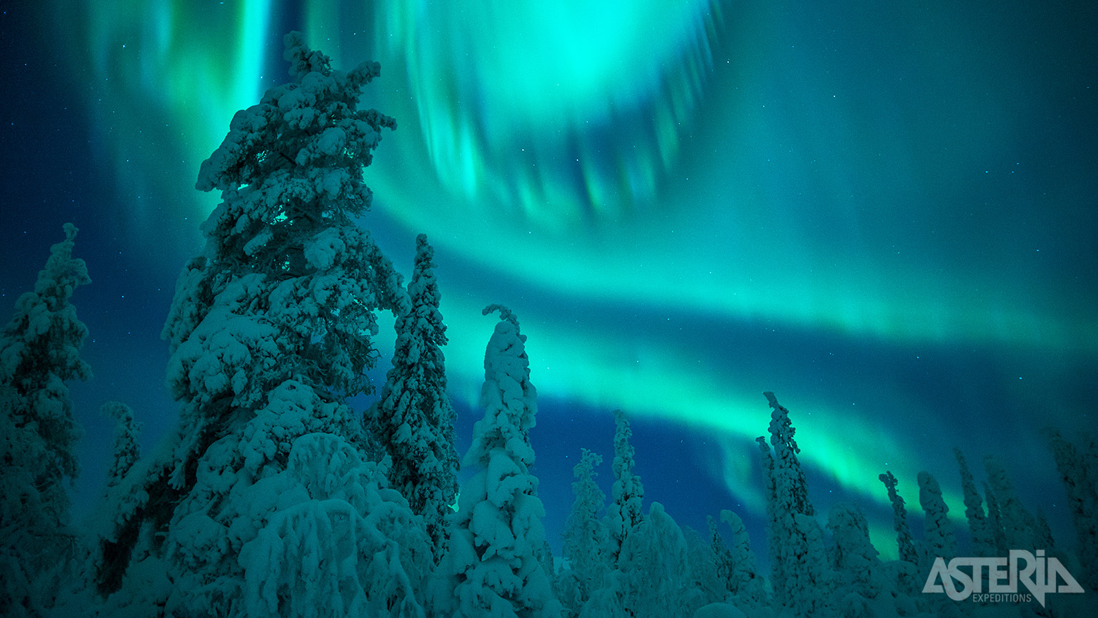 In Lapland kan je frequent het noorderlicht bewonderen tijdens heldere nachten