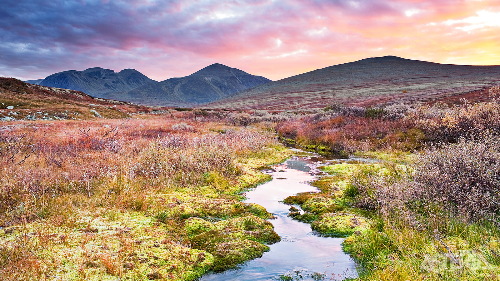 Rondane Nationaal Park heeft ook culturele betekenis, met landschappen die al eeuwenlang kunstenaars en schrijvers inspireren.