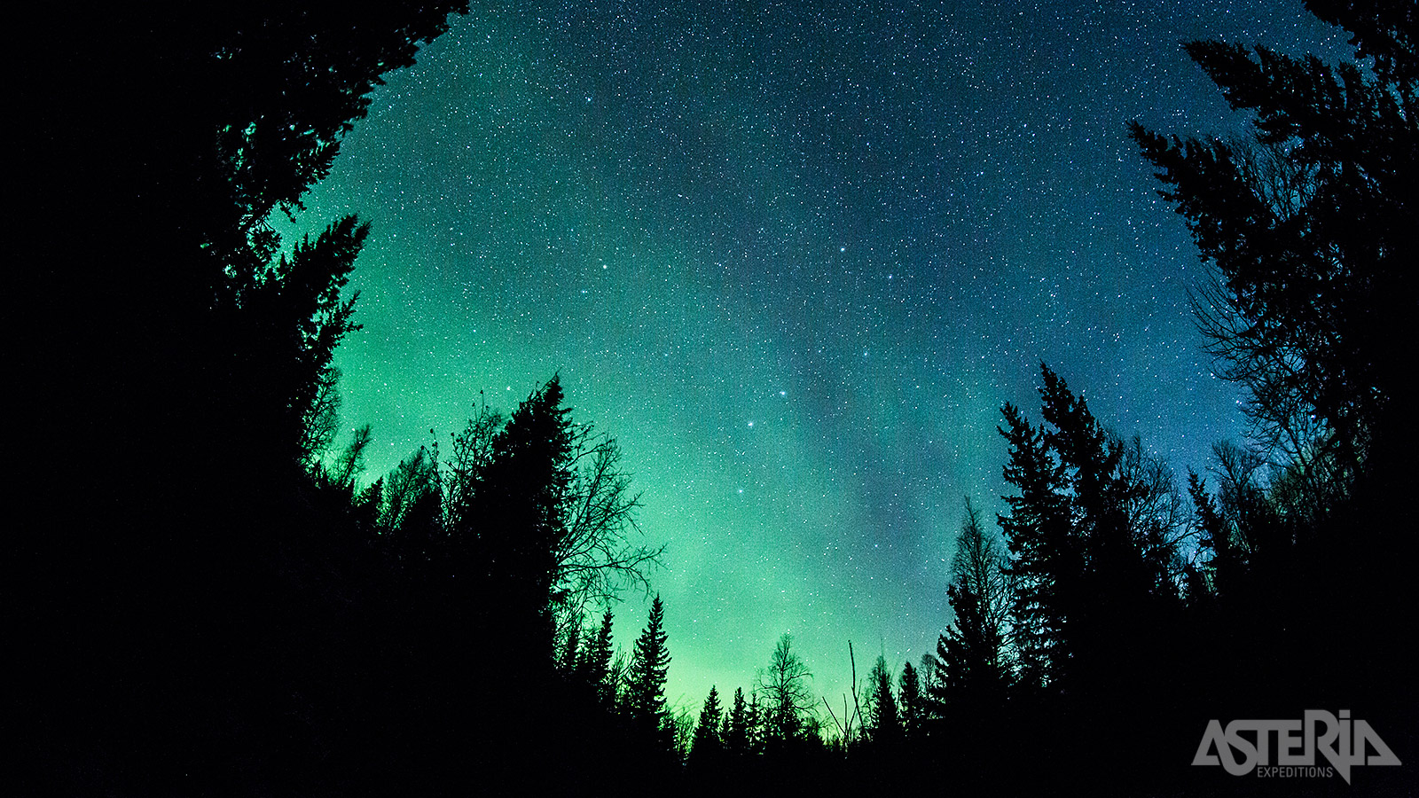 Met een beetje geluk krijg je ook het noorderlicht te zien tijdens je vakantie in Lapland