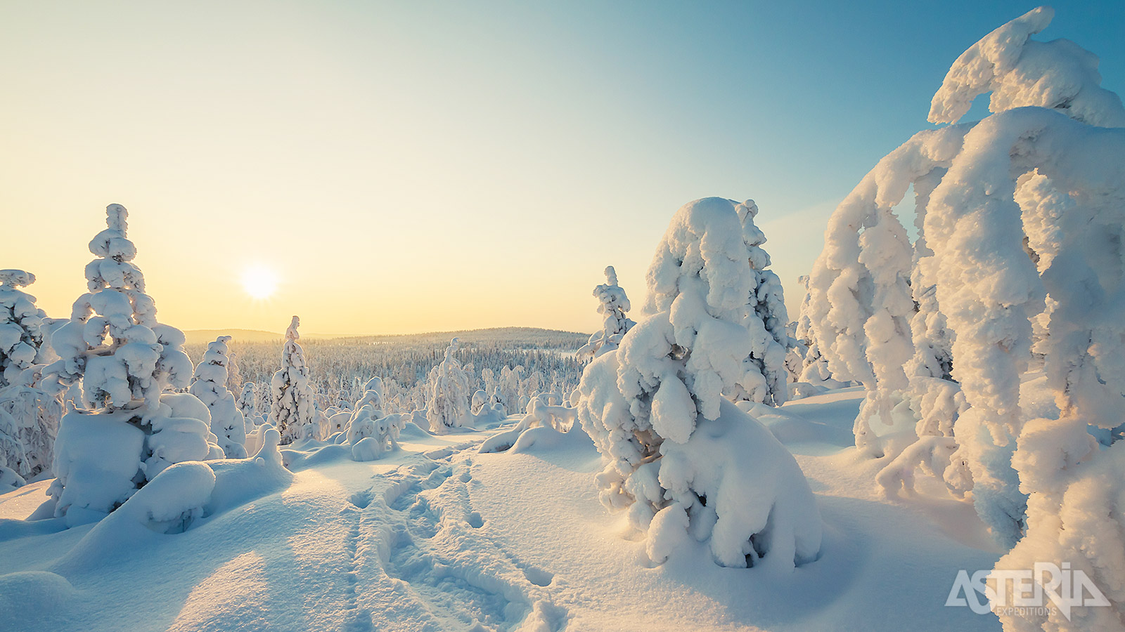 Besneeuwde landschappen, eindeloze bossen en de magie van Fins Lapland