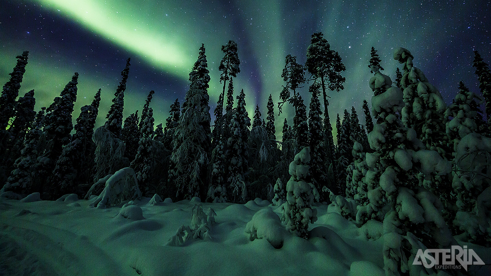 Het noorderlicht, ook wel bekend als Aurora Borealis, is één van de meest indrukwekkende natuurfenomenen die te zien zijn in Lapland