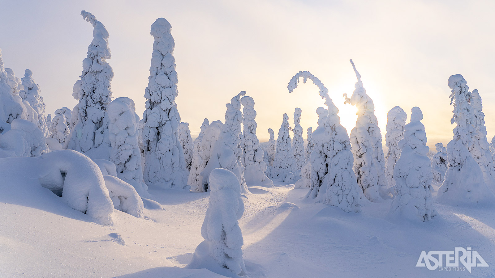 De betoverende landschappen van Salla Nationaal Park behoren tot de meest ongerepte van Fins Lapland