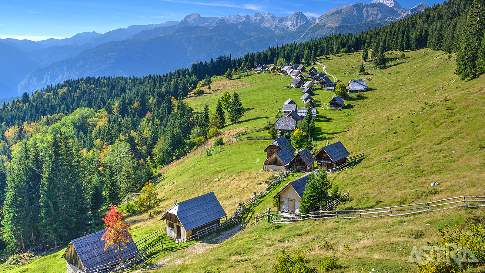 Bohinj, een groene oase in de Julische Alpen in het hart van het Triglav Nationaal Park
